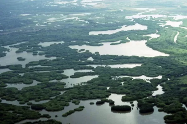 En el día mundial de los humedales reclaman que se vote la ley que los proteje