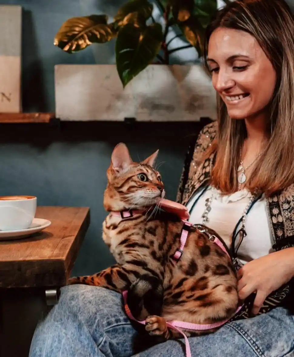 COMPAÑÍA IDEAL.La invitación es para todos los animales domésticos. 