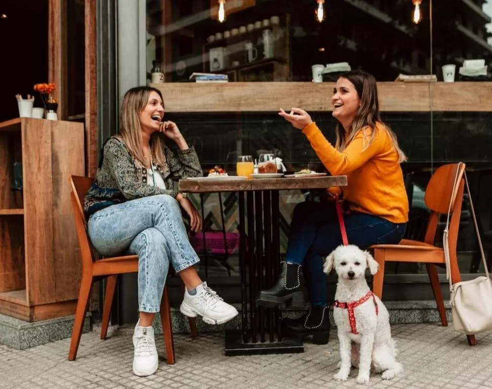 BARES.La recomendación, es llevar siempre la correa para su seguridad.