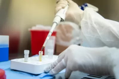 Coronavirus en Argentina: 288 muertes y 40.094 casos en las últimas 24 horas