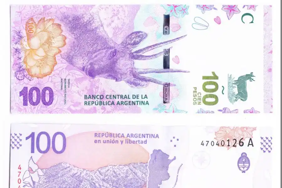 Las tres décadas del devaluado billete de $ 100