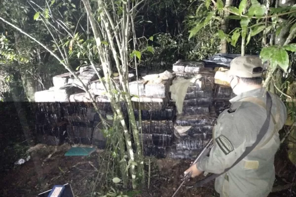 Hallaron más de dos toneladas de marihuana oculta entre malezas