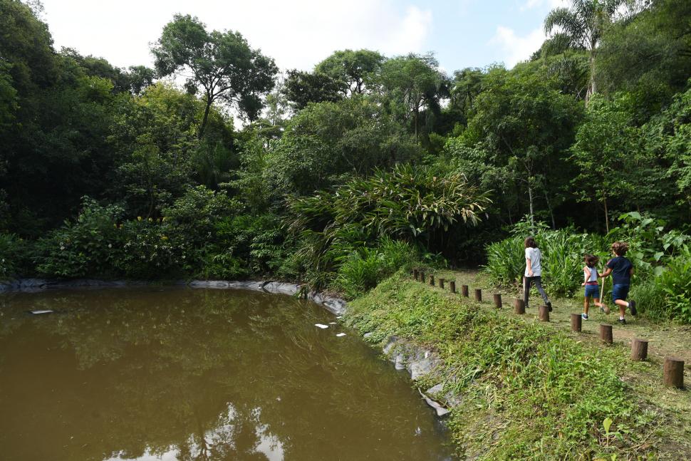 EL REMANSO DEL AGUA. El espejo es relativamente nuevo. Los tronquitos en fila colaboran para que un paso en falso no termine en un chapuzón. 