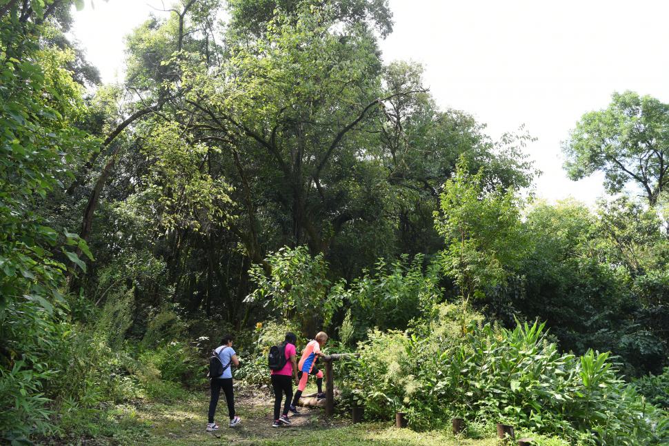 EL ACCESO. El Jardín está ubicado en la Reserva Experimental Horco Molle (UNT) y se lo puede visitar todos los días, de 9 a 18.