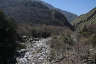 Potrero del Clavillo: claves de un plan que entusiasma a los especialistas