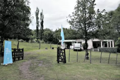 Shows musicales: continúa el verano con cultura en la provincia