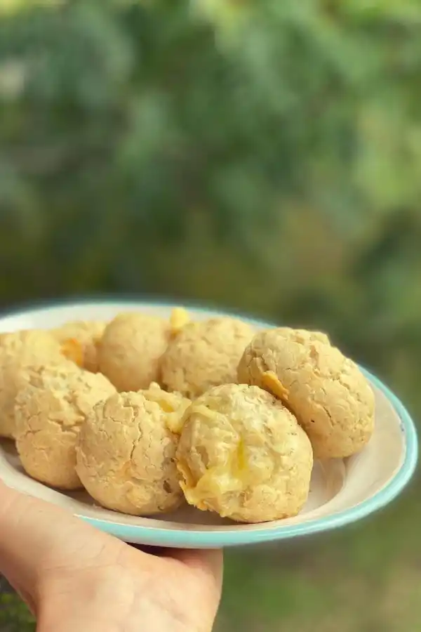 Viandas escolares: ¿la comida se debe enviar refrigerada o caliente?