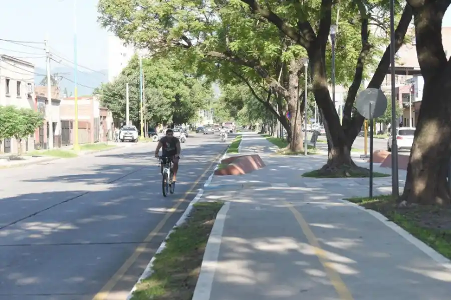 DESDE COLÓN A PELLEGRINI. Ese tramo invita a sacarle el jugo a la bicisenda de la Kirchner. Pero el ciclista de la foto decidió ir por la avenida. 