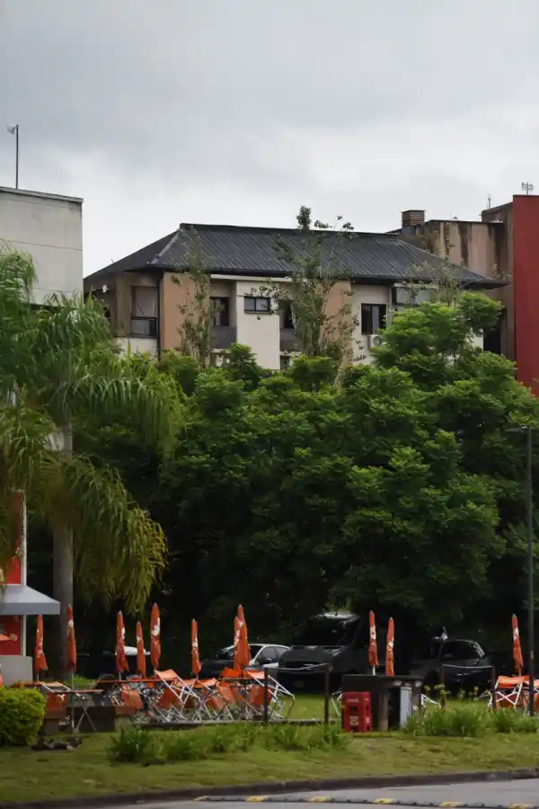 CONCEPTO. Mucho verde en el entorno. 