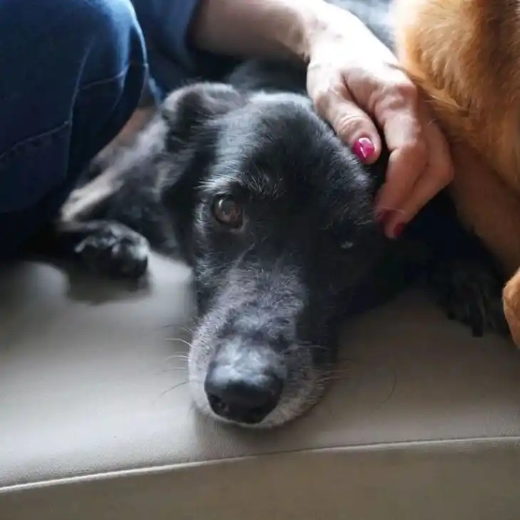 DESPEDIDA. Eleonora Wexler contó su tristeza por redes sociales.