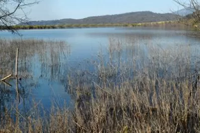 Cartas de lectores I: Humedal Los Pizarro