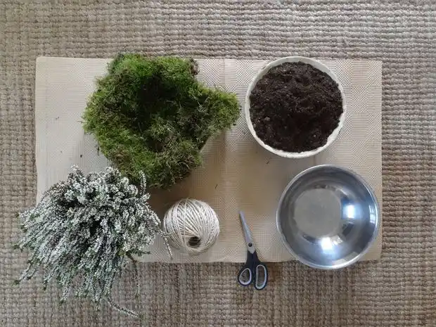 TODO LISTO. La tierra, la planta, el musgo, los hilos y la tijera. 