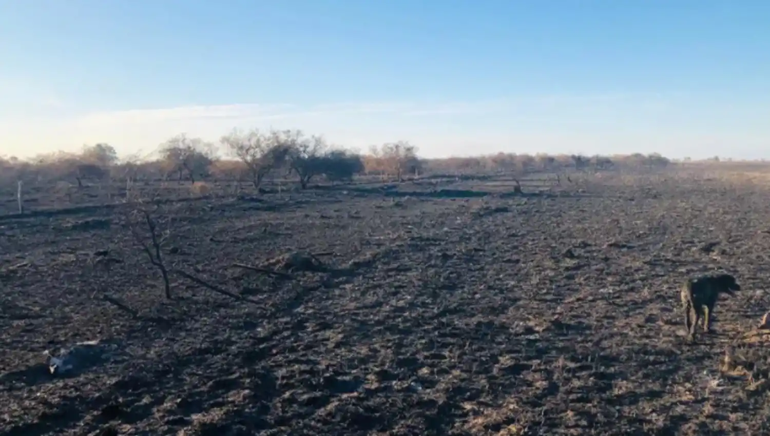FOTO TOMADA DE LA NACION