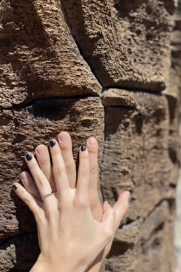 La historia de amor de dos tucumanos que recorrieron el país con una camioneta muy especial