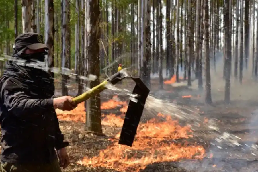FOTO DE DIARIO EL TERRITORIO