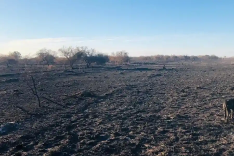 FOTO TOMADA DE LA NACION