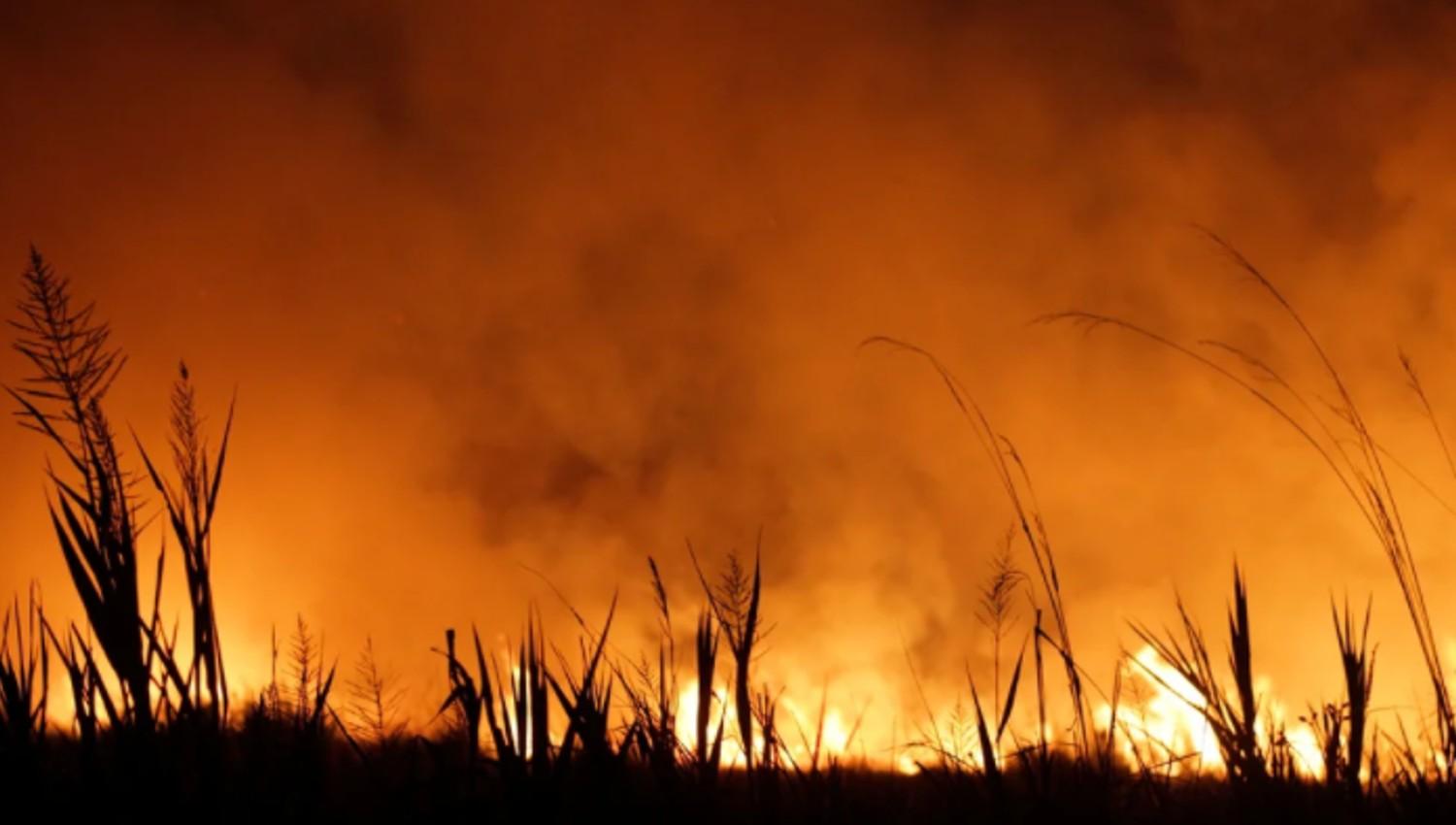 SIN FRENO. Esta semana se reportaron al menos 15 focos de incendios en diferentes puntos de Corrientes.