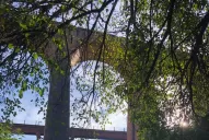 Por pudor, bikers no se animan a denunciar más ataques