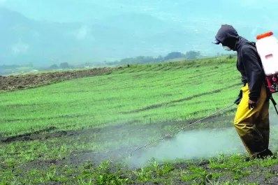 Avizoran que faltarán agroquímicos o que estarán muy caros