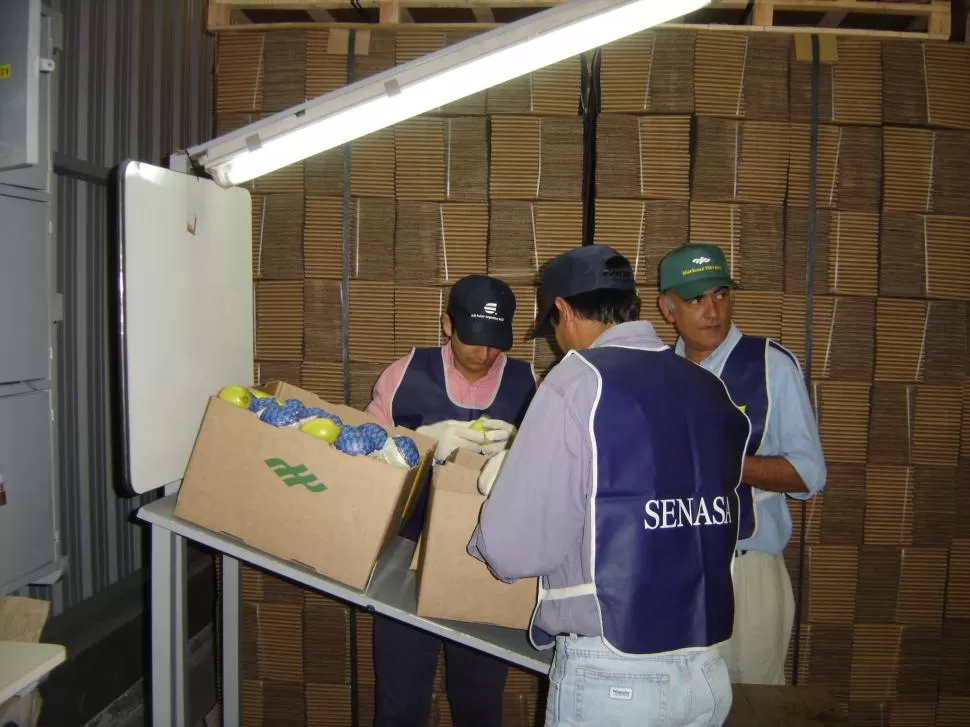 FISCALIZACIÓN. El Senasa inspecciona más de 40 empaques en Tucumán. 