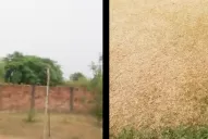 El milagro que Corrientes esperaba llegó: llueve en varias de sus ciudades