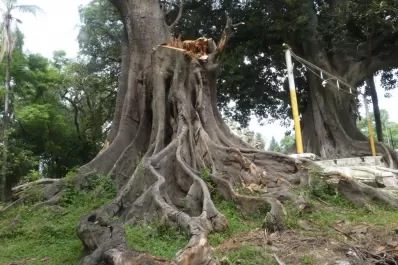 En Santa Ana reclaman por el calamitoso estado de un parque