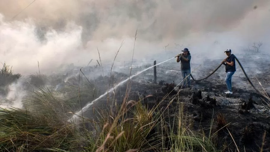 GOLPE ECONÓMICO. Calculan que las pérdidas por los incendios en Corrientes superan los $ 26.000 millones. ARCHIVO LA GACETA 