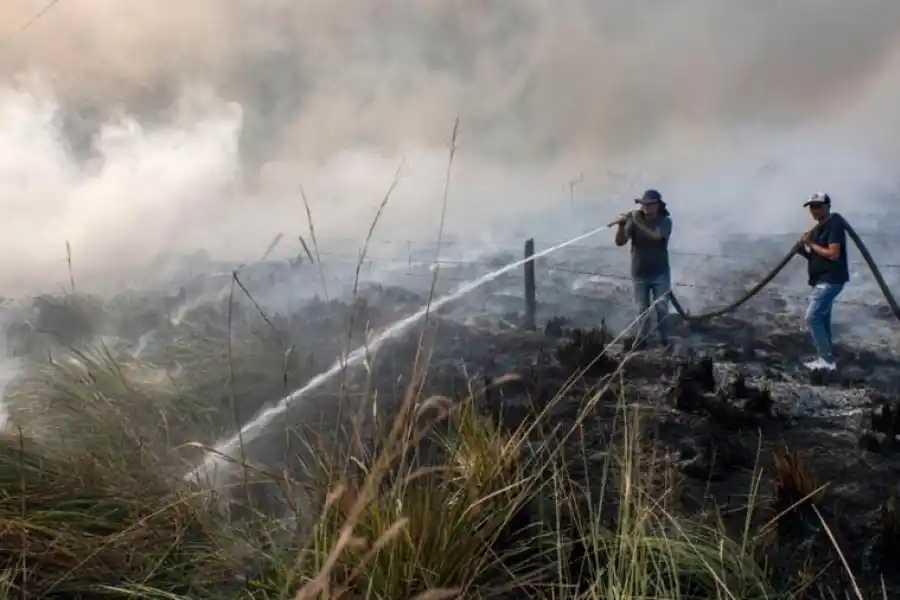 GOLPE ECONÓMICO. Calculan que las pérdidas por los incendios en Corrientes superan los $ 26.000 millones. ARCHIVO LA GACETA 