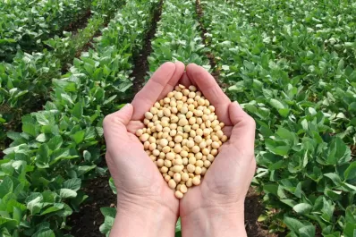 La SRA presentó un amparo contra las retenciones