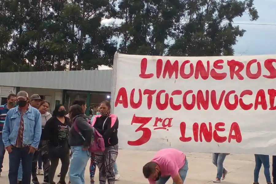 MEJORES CONDICIONES. Los trabajadores del limón esperan respuestas del Gobierno y de la Uatre.