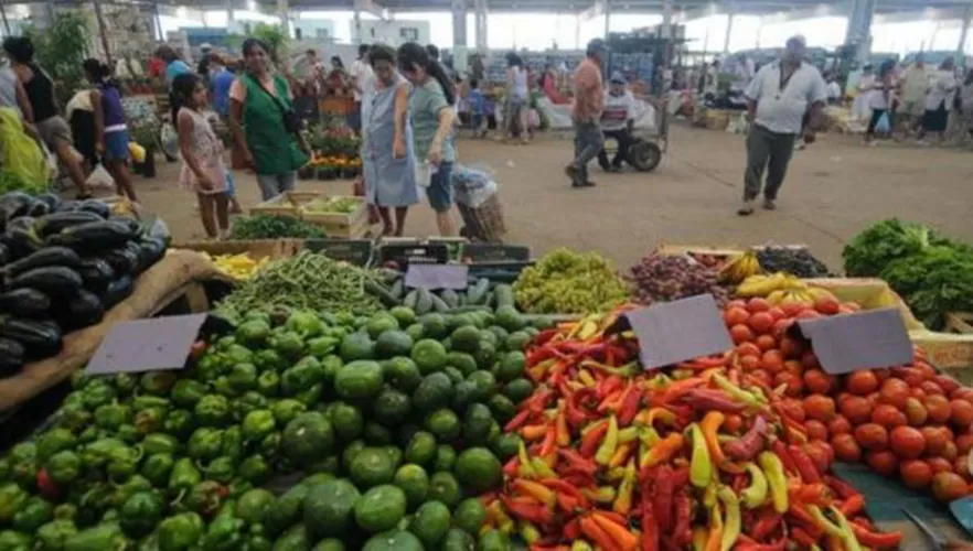 La Nación busca estabilizar el precio de frutas y de verduras mediante un fideicomiso