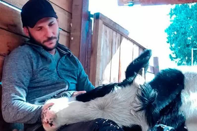 Corrientes: un influencer imitó a Maratea y convocó a una colecta, pero para ayudar a los animales