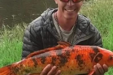 Carlos Paz: atraparon un pez que en China es considerado una leyenda