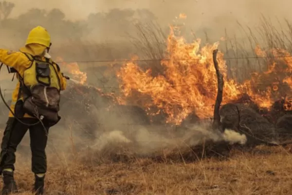La ganadería en Corrientes perdería $30.000 millones