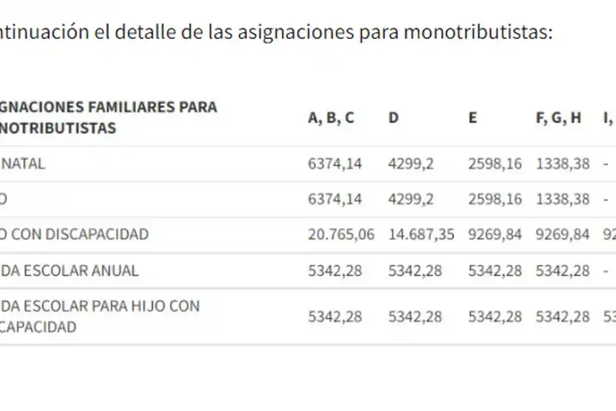 Anses pagará en marzo un bono para Monotributistas: ¿Cómo cobrar los $8.000?