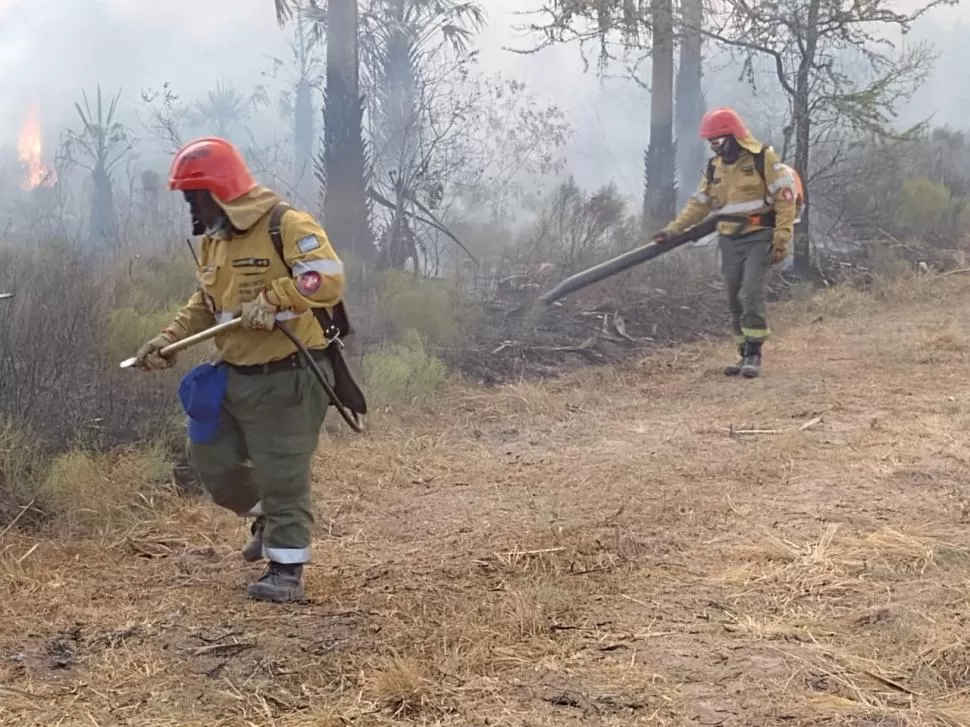 “UN DAÑO TERRIBLE”. Los bomberos trabajan sobre sectores de tierra quemada tras el incendio. “El suelo sufrió mucho estrés”, indicó Torres. 