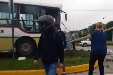 Video: un colectivo tumbó un poste de la luz y terminó sobre la platabanda de la avenida Perón