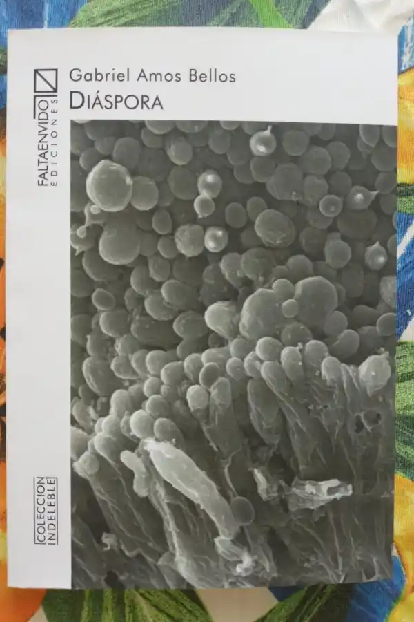 POESÍA. “Diáspora” se presenta esta tarde. 