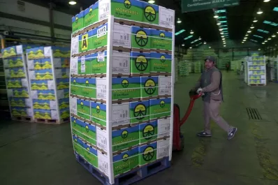 “El limón halla su fortaleza en la industrialización”