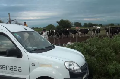 El Senasa realizó tareas de diagnóstico de brucelosis y tuberculosis en Trancas