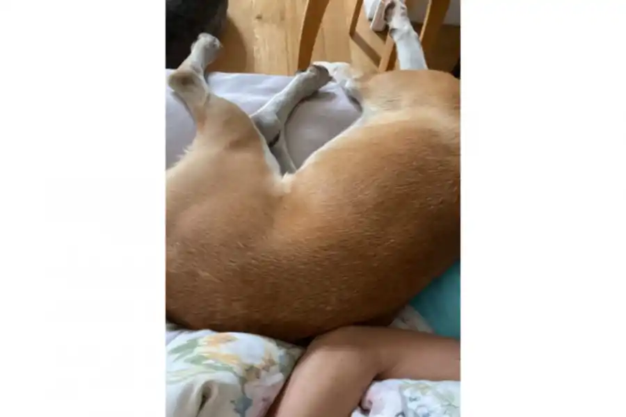 Vero Lozano volvió a Argentina tras su accidente en Aspen:  Casita