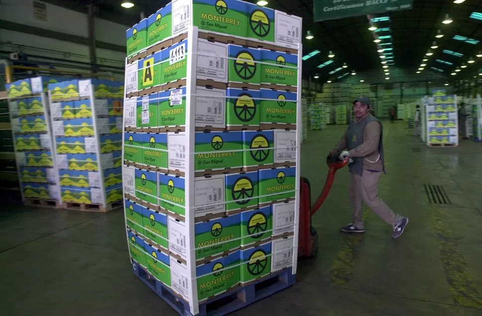 DESTINO. EEUU compró 73.000 toneladas de limón argentino el año pasado. 
