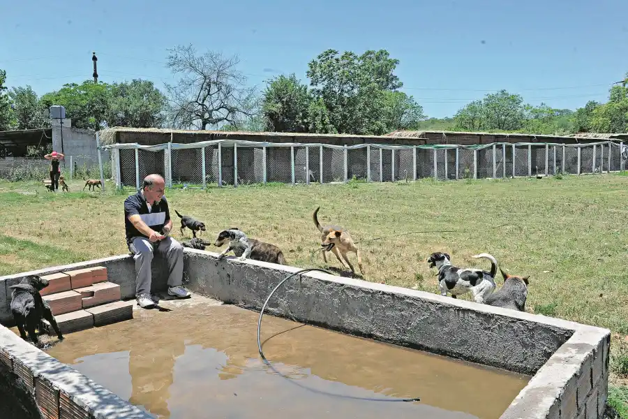 Pensiones: un lugar seguro y amigable donde hospedar a tu perro