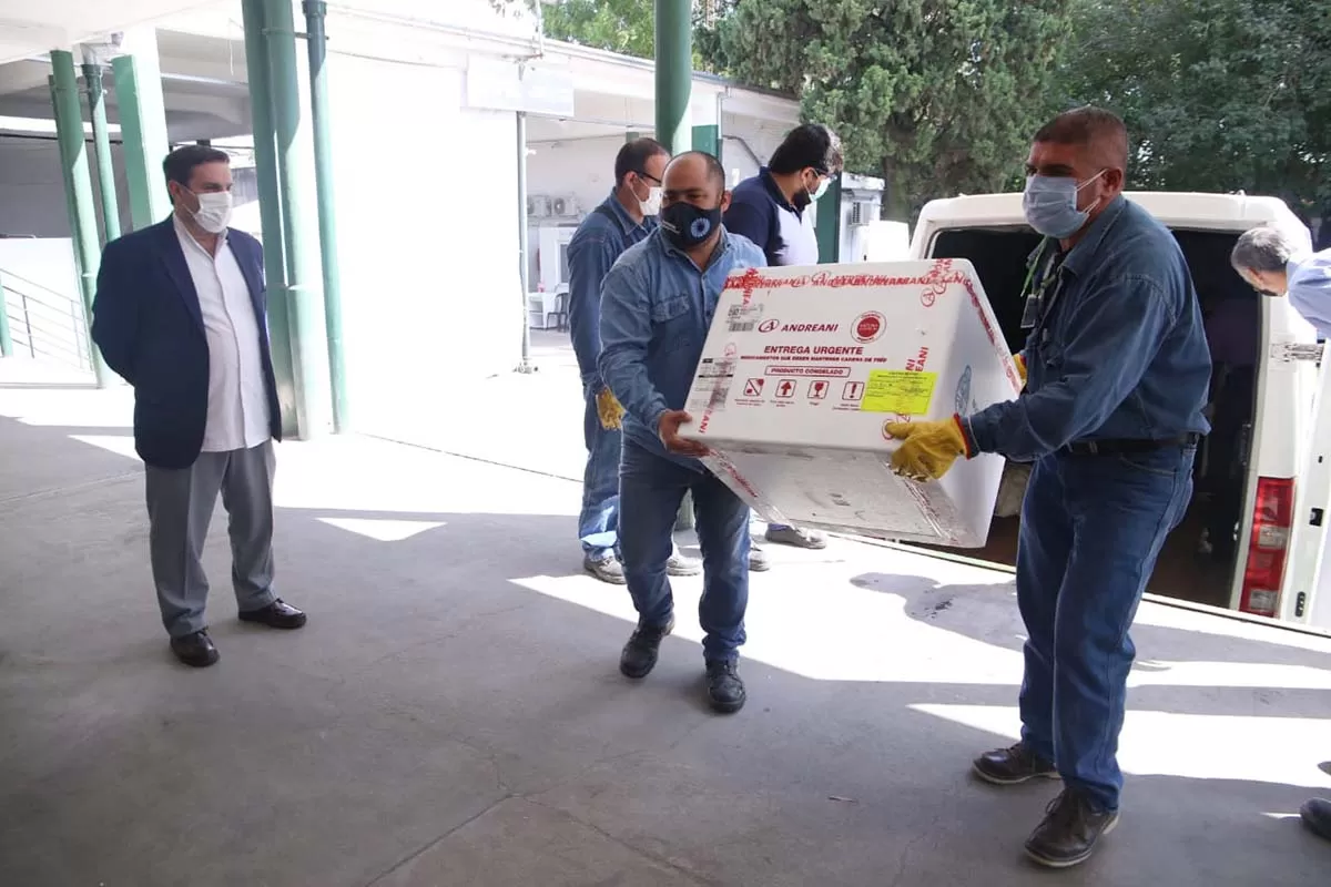 OPERATIVO DE RECEPCIÓN. Medina Ruiz supervisa la llegada de 17.000 dosis pediátricas de Pfizer. Foto: Prensa Salud