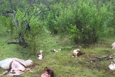 Productores insisten en su pedido por seguridad