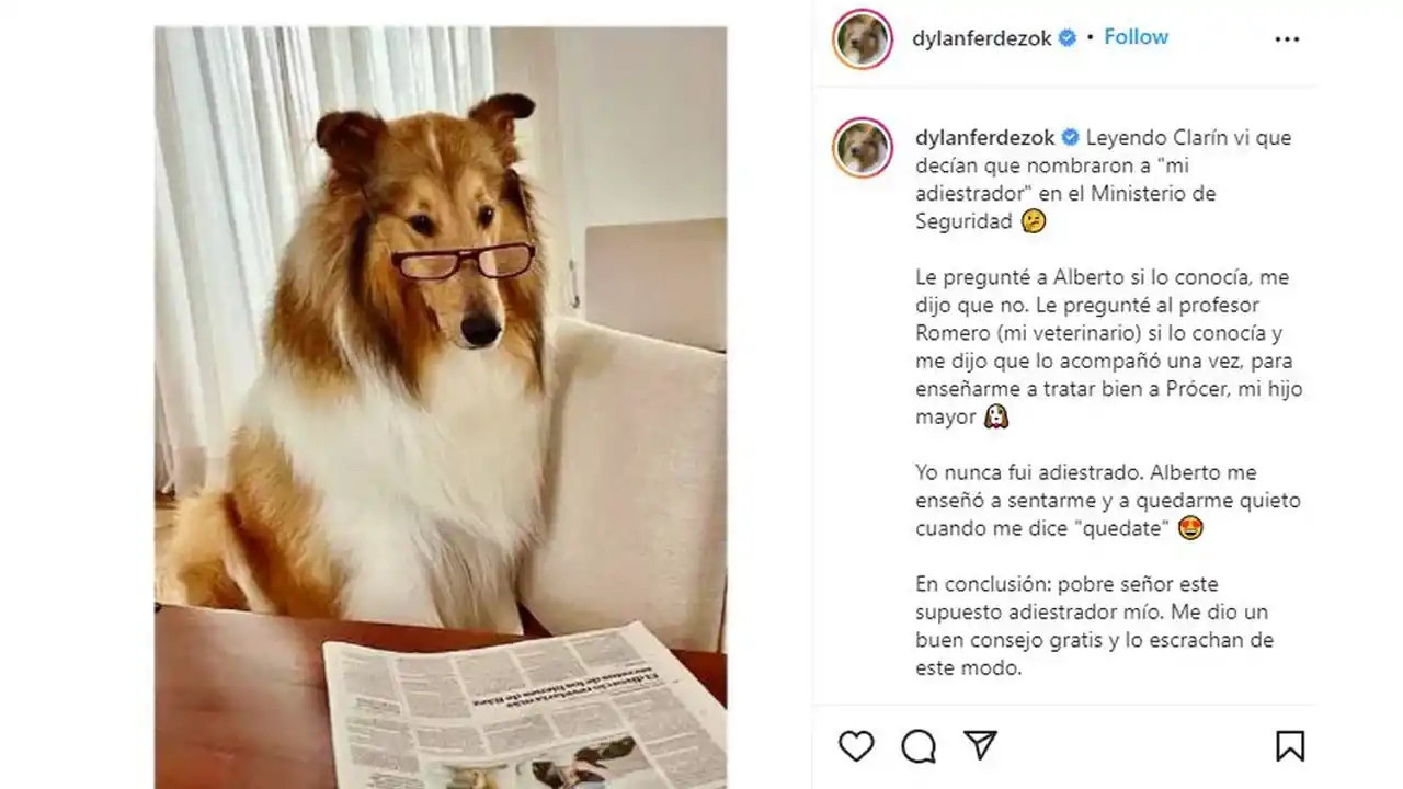 La curiosa forma en la que el Gobierno defendió la designación del adiestrador de Dylan en Seguridad  