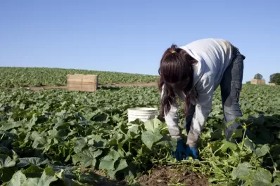 El éxito en el agro necesita de la mano femenina