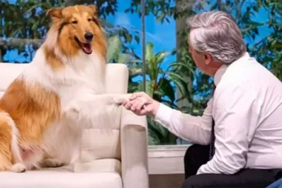 La curiosa forma en la que el Gobierno defendió la designación del adiestrador de Dylan en Seguridad