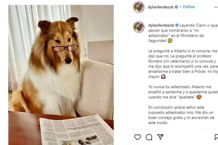 La curiosa forma en la que el Gobierno defendió la designación del adiestrador de Dylan en Seguridad  