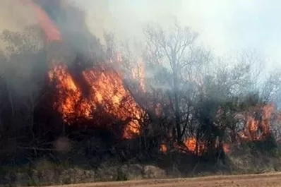 Corrientes: se reactivaron algunos incendios en la zona de esteros
